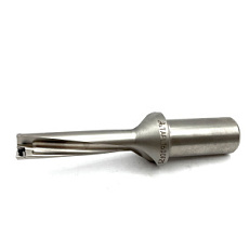 картинка Сверло со сменными пластинами TAFL1600F25  магазин Гурумарт являющийся официальным дистрибьютором в России 